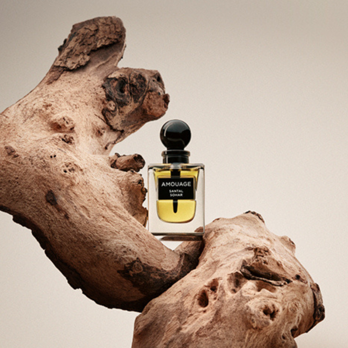 Santal Sohar Shop Amouage Online Libertine Parfumerie